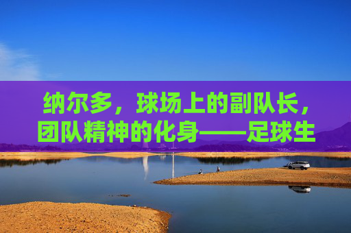 纳尔多，球场上的副队长，团队精神的化身——足球生涯中的领导力与奉献，纳尔多，球场上的副队长，团队精神的化身——足球生涯中的领导力与奉献