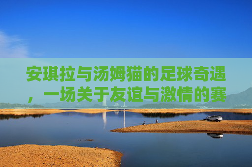 安琪拉与汤姆猫的足球奇遇，一场关于友谊与激情的赛场故事，安琪拉与汤姆猫的足球奇遇，一场关于友谊与激情的赛场故事