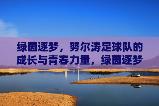 绿茵逐梦,努尔涛足球队的成长与青春力量,绿茵逐梦,努尔涛足球队的成长与青春力量