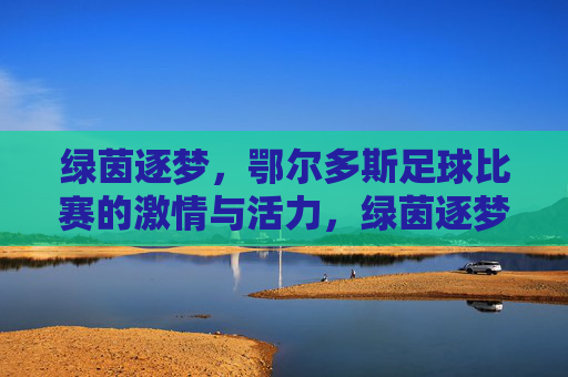 绿茵逐梦，鄂尔多斯足球比赛的激情与活力，绿茵逐梦，鄂尔多斯足球比赛的激情与活力