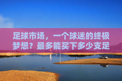 足球市场，一个球迷的终极梦想？最多能买下多少支足球俱乐部？足球市场，一个球迷的终极梦想，最多能买下多少支足球俱乐部？