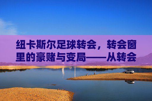 纽卡斯尔足球转会，转会窗里的豪赌与变局——从转会策略到球队未来展望，纽卡斯尔足球转会，转会窗里的豪赌与变局——从转会策略到球队未来展望