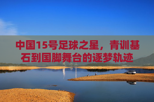 中国15号足球之星，青训基石到国脚舞台的逐梦轨迹