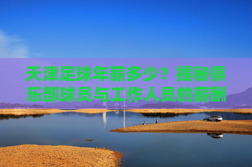 天津足球年薪多少?揭秘俱乐部球员与工作人员的薪酬结构