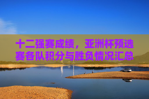 十二强赛成绩，亚洲杯预选赛各队积分与胜负情况汇总
