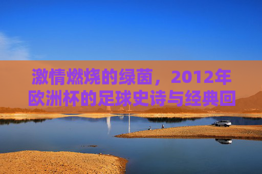 激情燃烧的绿茵,2012年欧洲杯的足球史诗与经典回响