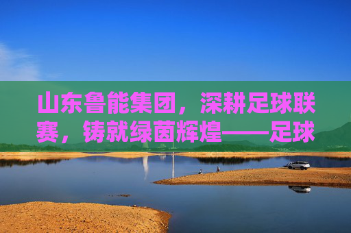 山东鲁能集团，深耕足球联赛，铸就绿茵辉煌——足球与企业的双向赋能之路