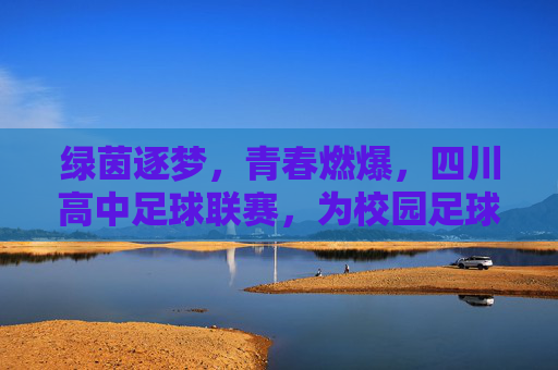绿茵逐梦,青春燃爆,四川高中足球联赛,为校园足球注入澎湃活力