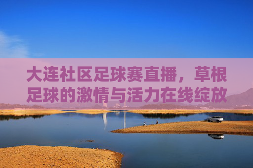 大连社区足球赛直播，草根足球的激情与活力在线绽放