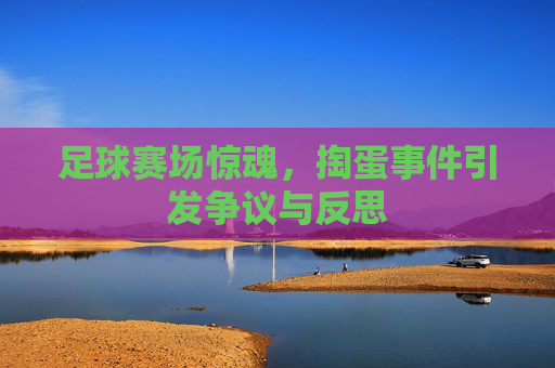 足球赛场惊魂，掏蛋事件引发争议与反思