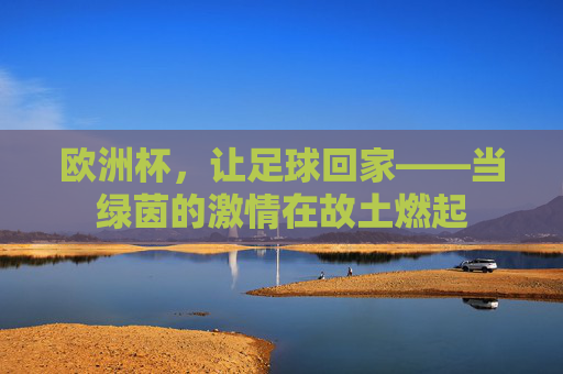 欧洲杯,让足球回家——当绿茵的激情在故土燃起