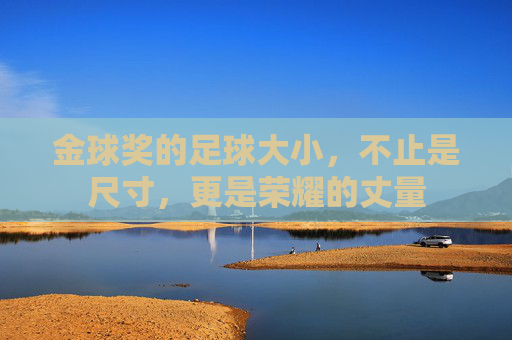 金球奖的足球大小，不止是尺寸，更是荣耀的丈量