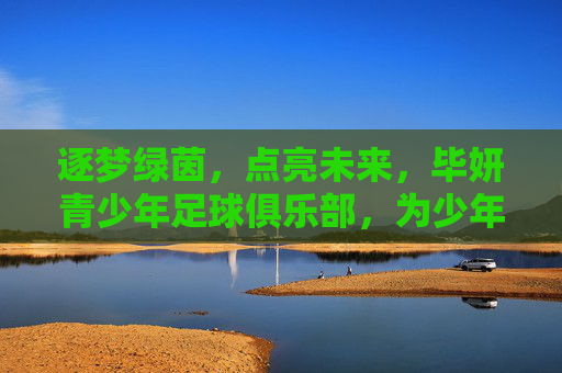 逐梦绿茵,点亮未来,毕妍青少年足球俱乐部,为少年足球插上翅膀