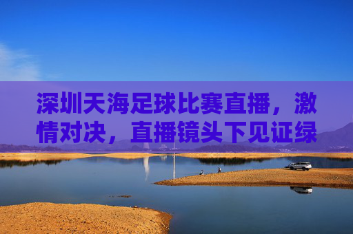 深圳天海足球比赛直播，激情对决，直播镜头下见证绿茵传奇