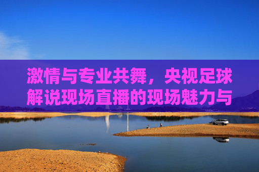 激情与专业共舞，央视足球解说现场直播的现场魅力与时代价值，激情与专业共舞，央视足球解说现场直播的现场魅力与时代价值