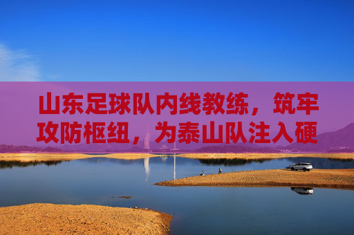 山东足球队内线教练，筑牢攻防枢纽，为泰山队注入硬核力量