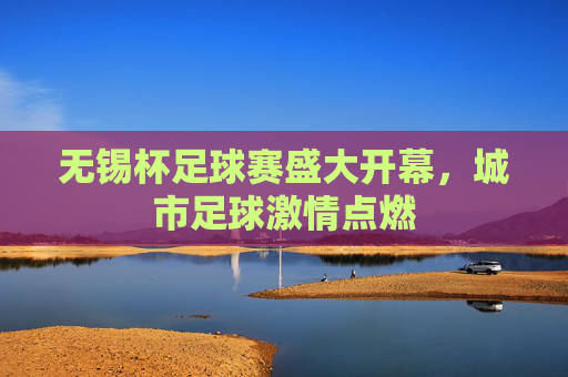 无锡杯足球赛盛大开幕，城市足球激情点燃