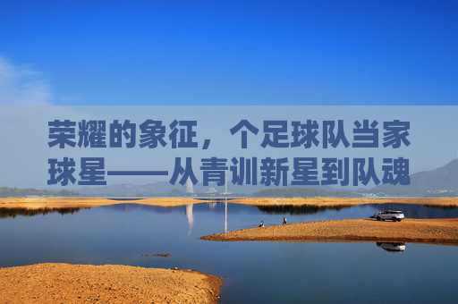 荣耀的象征，个足球队当家球星——从青训新星到队魂的蜕变，荣耀的象征，足球队当家球星从青训新星到队魂的蜕变