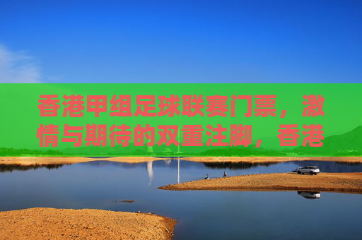 香港甲组足球联赛门票,激情与期待的双重注脚,香港甲组足球联赛门票,激情与期待的双重注脚