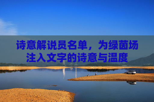 诗意解说员名单，为绿茵场注入文字的诗意与温度