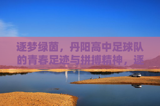 逐梦绿茵，丹阳高中足球队的青春足迹与拼搏精神，逐梦绿茵，丹阳高中足球队的青春足迹与拼搏精神
