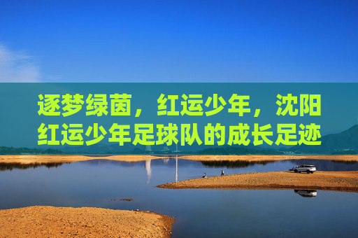 逐梦绿茵，红运少年，沈阳红运少年足球队的成长足迹与青春风采，逐梦绿茵，红运少年，沈阳红运少年足球队的成长足迹与青春风采
