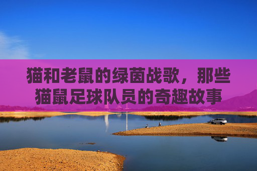 猫和老鼠的绿茵战歌,那些猫鼠足球队员的奇趣故事