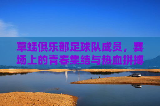 草蜢俱乐部足球队成员，赛场上的青春集结与热血拼搏