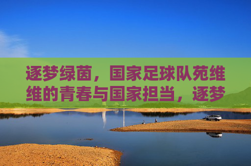 逐梦绿茵，国家足球队苑维维的青春与国家担当，逐梦绿茵，国家足球队苑维维的青春与国家担当