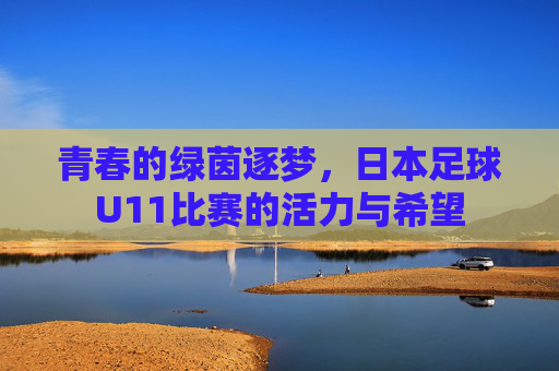 青春的绿茵逐梦，日本足球U11比赛的活力与希望