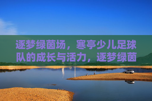 逐梦绿茵场,寒亭少儿足球队的成长与活力,逐梦绿茵场,寒亭少儿足球队的成长与活力