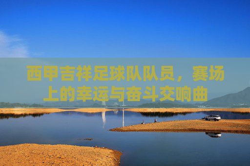 西甲吉祥足球队队员,赛场上的幸运与奋斗交响曲
