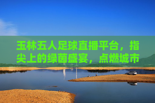 玉林五人足球直播平台，指尖上的绿茵盛宴，点燃城市足球热情