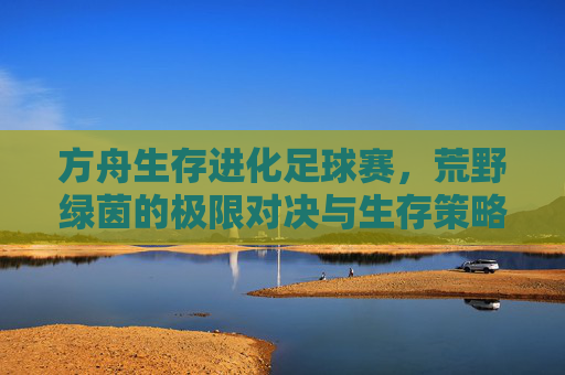 方舟生存进化足球赛，荒野绿茵的极限对决与生存策略