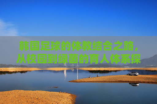 韩国足球的体教结合之路，从校园到绿茵的育人体系探索，韩国足球的体教结合之路，从校园到绿茵的育人体系探索