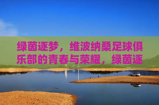 绿茵逐梦,维波纳桑足球俱乐部的青春与荣耀,绿茵逐梦,维波纳桑足球俱乐部的青春与荣耀