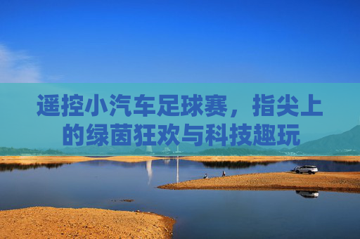 遥控小汽车足球赛,指尖上的绿茵狂欢与科技趣玩
