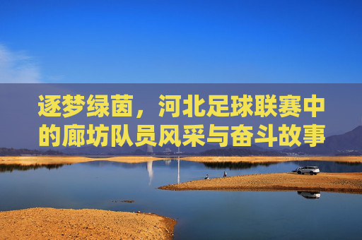 逐梦绿茵,河北足球联赛中的廊坊队员风采与奋斗故事
