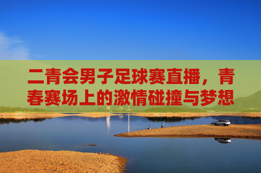 二青会男子足球赛直播，青春赛场上的激情碰撞与梦想绽放
