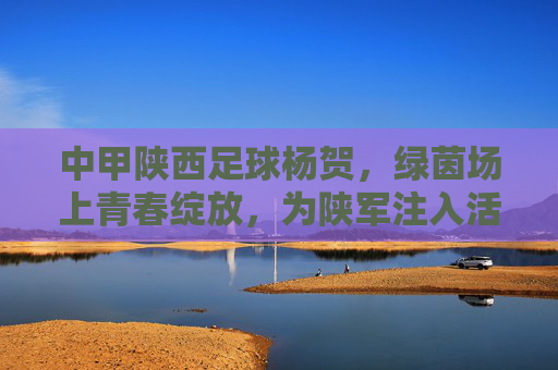 中甲陕西足球杨贺,绿茵场上青春绽放,为陕军注入活力新篇,杨贺,绿茵场上青春绽放,为陕军注入活力新篇