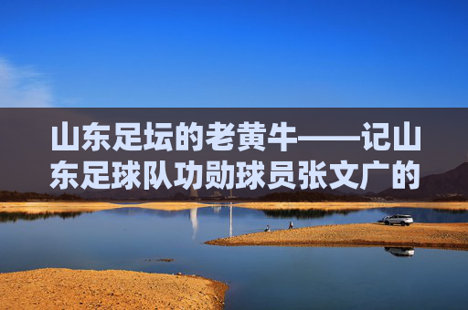 山东足坛的老黄牛——记山东足球队功勋球员张文广的职业生涯与精神传承，山东足坛的老黄牛——记山东足球队功勋球员张文广的职业生涯与精神传承