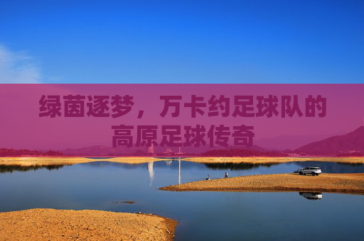 绿茵逐梦,万卡约足球队的高原足球传奇