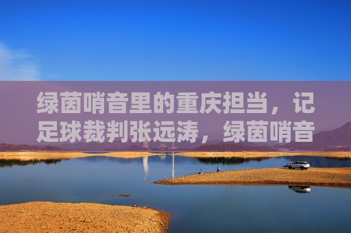 绿茵哨音里的重庆担当，记足球裁判张远涛，绿茵哨音里的重庆担当，记足球裁判张远涛