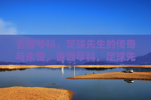 舍普琴科，足球先生的传奇与永恒，舍普琴科，足球先生的传奇与永恒