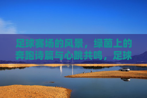 足球赛场的风景，绿茵上的奔跑诗篇与心跳共鸣，足球赛场的风景，绿茵上的奔跑诗篇与心跳共鸣