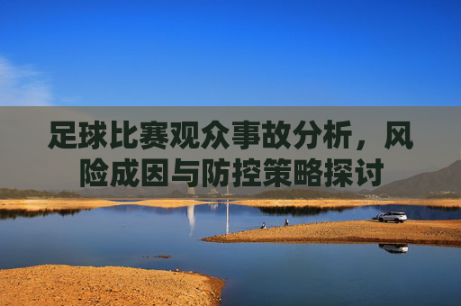 足球比赛观众事故分析，风险成因与防控策略探讨