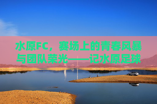 水原FC，赛场上的青春风暴与团队荣光——记水原足球队队员风采，水原FC，赛场青春风暴与团队荣光——队员风采记