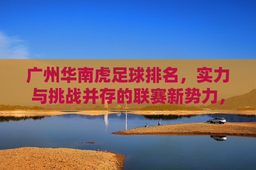广州华南虎足球排名,实力与挑战并存的联赛新势力,广州华南虎足球排名,实力与挑战并存的联赛新势力