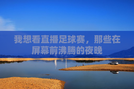 我想看直播足球赛，那些在屏幕前沸腾的夜晚