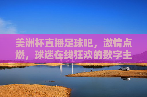 美洲杯直播足球吧,激情点燃,球迷在线狂欢的数字主场,美洲杯直播足球吧,激情点燃球迷在线狂欢的数字主场